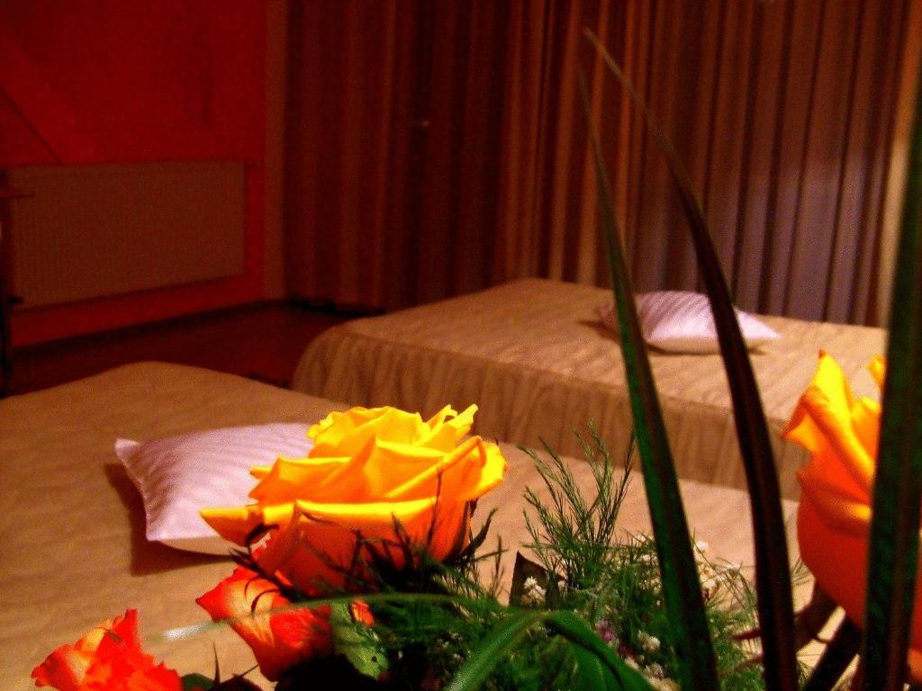 Hotel Ambassador Baia Mare Zewnętrze zdjęcie