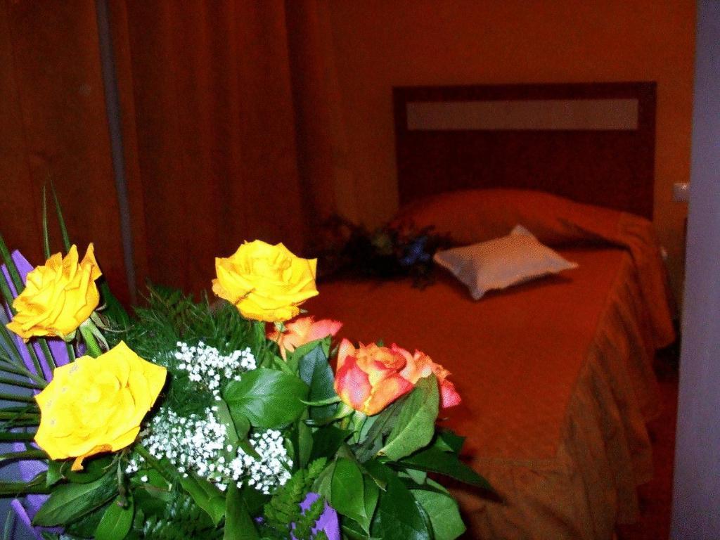Hotel Ambassador Baia Mare Zewnętrze zdjęcie